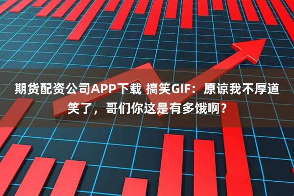 期货配资公司APP下载 搞笑GIF：原谅我不厚道笑了，哥们你这是有多饿啊？