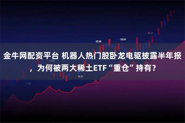 金牛网配资平台 机器人热门股卧龙电驱披露半年报，为何被两大稀土ETF“重仓”持有？