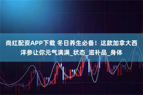 尚红配资APP下载 冬日养生必备！这款加拿大西洋参让你元气满满_状态_滋补品_身体